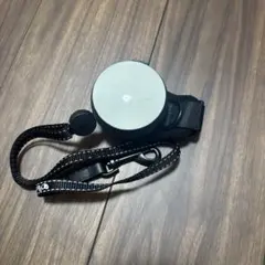 Item thumbnail for item 29878a6a-671e-4398-b246-53bca53f12dd