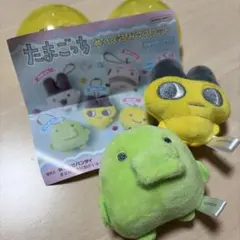 2026年最新】まめっちぬいぐるみの人気アイテム - メルカリ