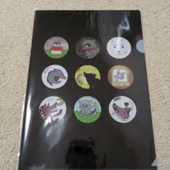 ＆TEAM クリアファイル アニメイト