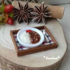 ミニチュアフード(カレーライス)