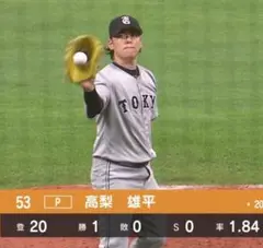 専用
