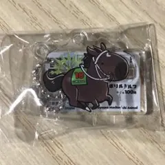 UMAbred アクリルスタンド&キーホルダー 日本ダービー シンボリルドルフ