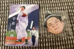 Item thumbnail for item 84a00732-7804-421c-8bca-7c2ccef57a43