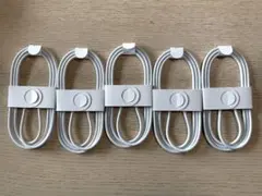 Q1 Apple純正　編み込み式USB-C充電ケーブル　5個セット