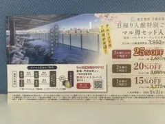 豊洲万葉倶楽部⭐︎日帰り入館特別ご優待券6枚