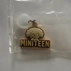MINITEEN ぷっくりめじるしアクセサリー ドギョム