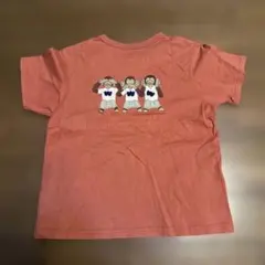 WASK 子ども半袖Tシャツ WASK MONKEY