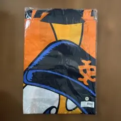 Item thumbnail for item 4b5c345a-aae2-4134-afd7-f4ea3ff1fbe4