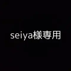 seiya様 リクエスト 2点 まとめ商品