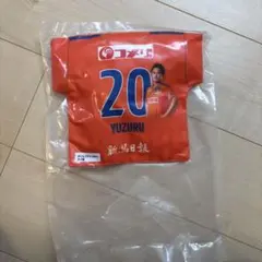アルビレックス新潟 33 高木善朗 シャツ型クッション サイン入り
