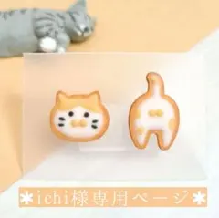 ✱ichi様専用ページ✱