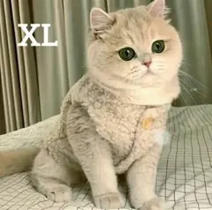 Item thumbnail for item f3b620c4-6b62-4851-a256-6e9684bfb2e9