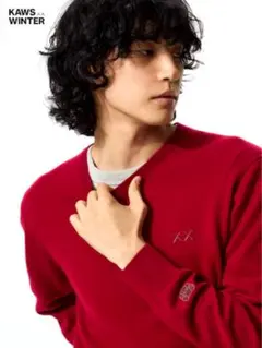 KAWS カウズ ウィンター カシミヤクルーネックセーター カラー: RED