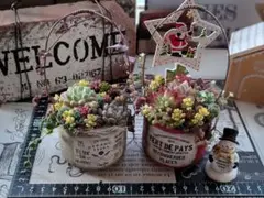 多肉植物 そのまま飾れる ミニ寄せ植え2点セットꕤ.。Χ’mas雪だるま付☆★
