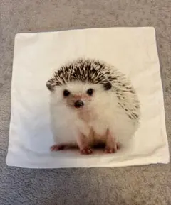 ハリネズミ クッションカバー