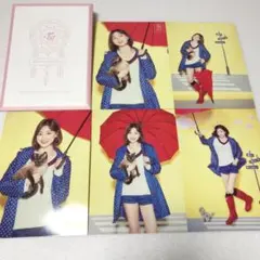 TWICE Dreamday グッズ ランダムトレカ ジヒョ 猫 傘 コンプ