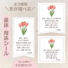 【形が選べる全3種】産休育休シール チューリップ 40枚セット