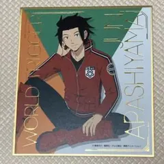 ワールドトリガー ワートリ ビジュアル色紙コレクション 嵐山准