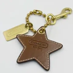 COACH チェリー チャーム スライダーブレスレット - メルカリ