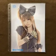 モーニング娘 田中れいな ピンナップポスター ピンポス ハロプロ 13