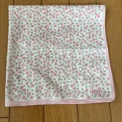 Item thumbnail for item 921970ad-c80d-4aea-9562-508b6109ba48