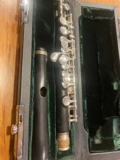 Item thumbnail for item c86ca178-8579-4ea9-b400-cc8cd4cef1c1