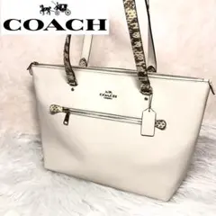 Item thumbnail for item 80c3c377-fb47-42d4-a77e-9a3a84985521