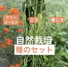 88888888様 リクエスト 3点 まとめ商品