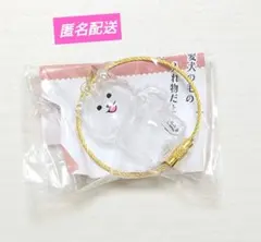 わんこのタイムカプセル　ラテ