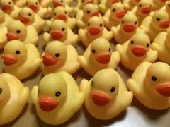 Item thumbnail for item 1cb83662-b4c0-41bc-9ba1-1677e10ab3bd