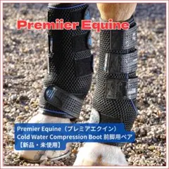 Item thumbnail for item b3a1c06d-cbc9-4fd4-98cb-a60808ceaf1d