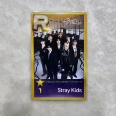StrayKids スキズ dominATE エコパ シュスジェ オール トレカ