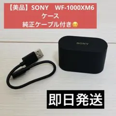 SONY WF-1000XM6 充電ケースのみ - メルカリ