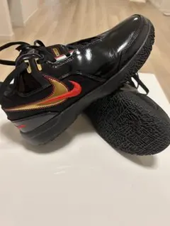 【超美品】Nike LeBron Next Gen AMPD 29cm