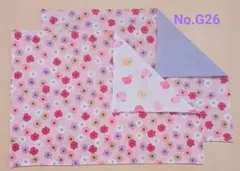 新品ランチョンマット2枚セット《No.G26》