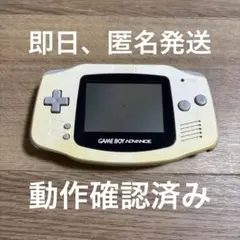 Item thumbnail for item e5d5824f-5880-49d8-be52-eba455864126