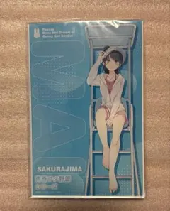 ドラマCD 青春ブタ野郎はビーチクイーンの夢を見ない 青ブタ展 鴨志田 