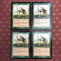 《輪作/Crop Rotation》