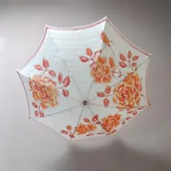 Item thumbnail for item b0132e13-dfb7-4c7d-88a3-f096a9f37e76