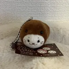 つちのこしろたん キーホルダー バレンタイン限定品のサムネイル