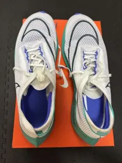 Item thumbnail for item 52ca309e-419c-49e0-931f-5319ec39b941