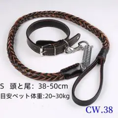 CW.38耐久性のある革製ドッグリーシュ『B7sS』のサムネイル