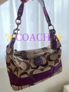 2026年最新】coach ワンショルダーバッグ シグネチャーの人気アイテム