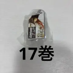 ヒカルの碁 コミックスチャーム 17巻 藤原佐為