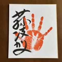 ⭕️令和8年大相撲平幕『藤凌駕』関、 手形、サイン色紙、のサムネイル