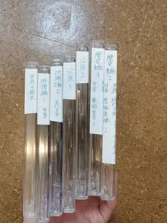 しちだ教育研究所 れきし探訪日本史編 CD 七田 - メルカリ