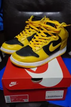 NIKE DUNK HI アイオワ