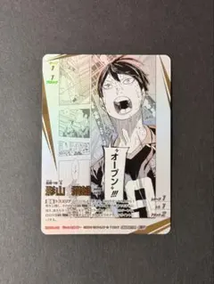 ハイキュー!!バボカ!! 影山飛雄カード 頂P