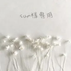 ❁﻿ sum様専用ページ❁﻿