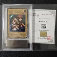 ARS10 ヂェミナイエルフ レリーフ 初期 鑑定書付き アルティメットレア ARS10 ヂェミナイエルフ レリーフ 初期 鑑定書付き アルティメットレア